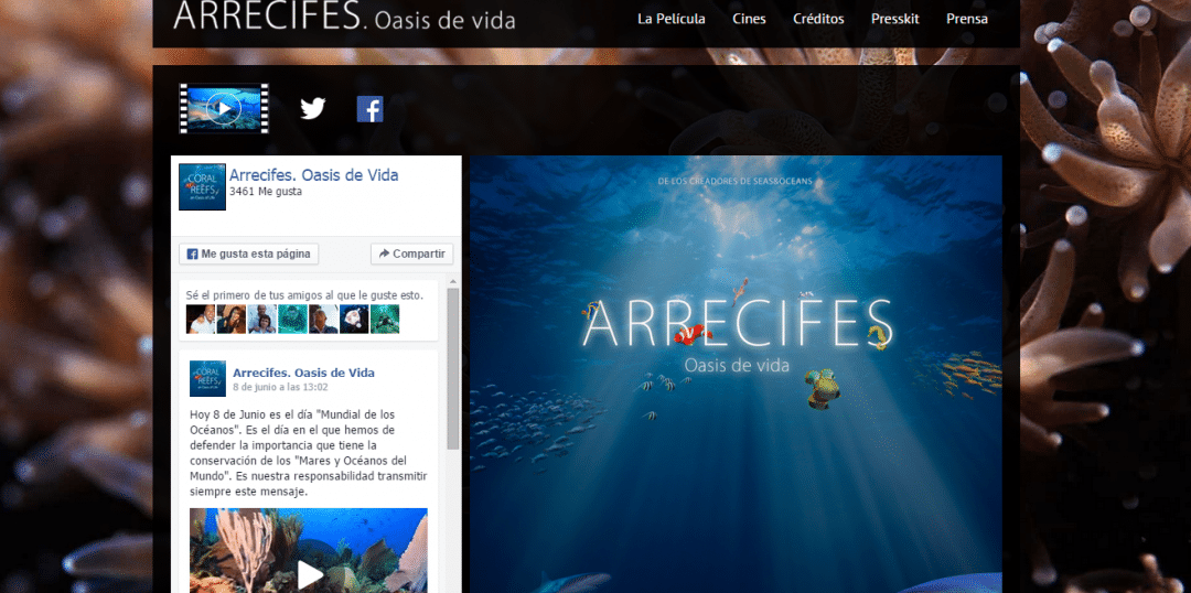 Programación Página web oficial Arrecifes. Oasis de Vida