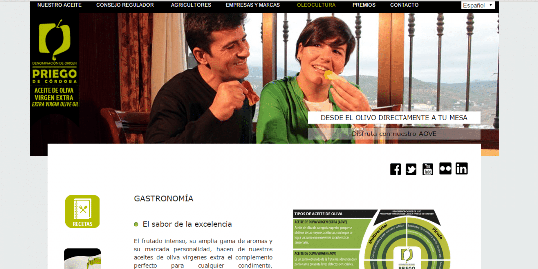 Programación Página web oficial DOP Priego de Córdoba