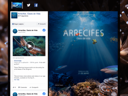 Desarrollo página web Arrecifes