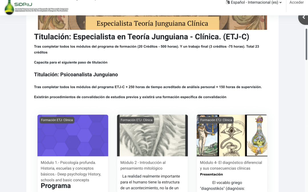 Programación e-learning Moodle Escuela clínica junguiana