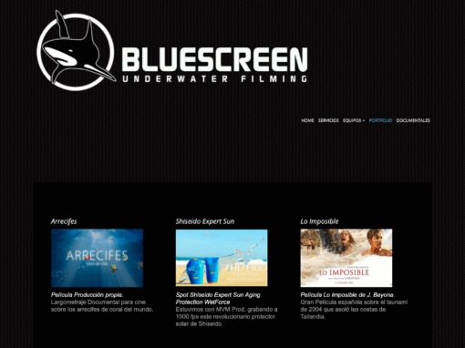 Programación página web Bluescrenn